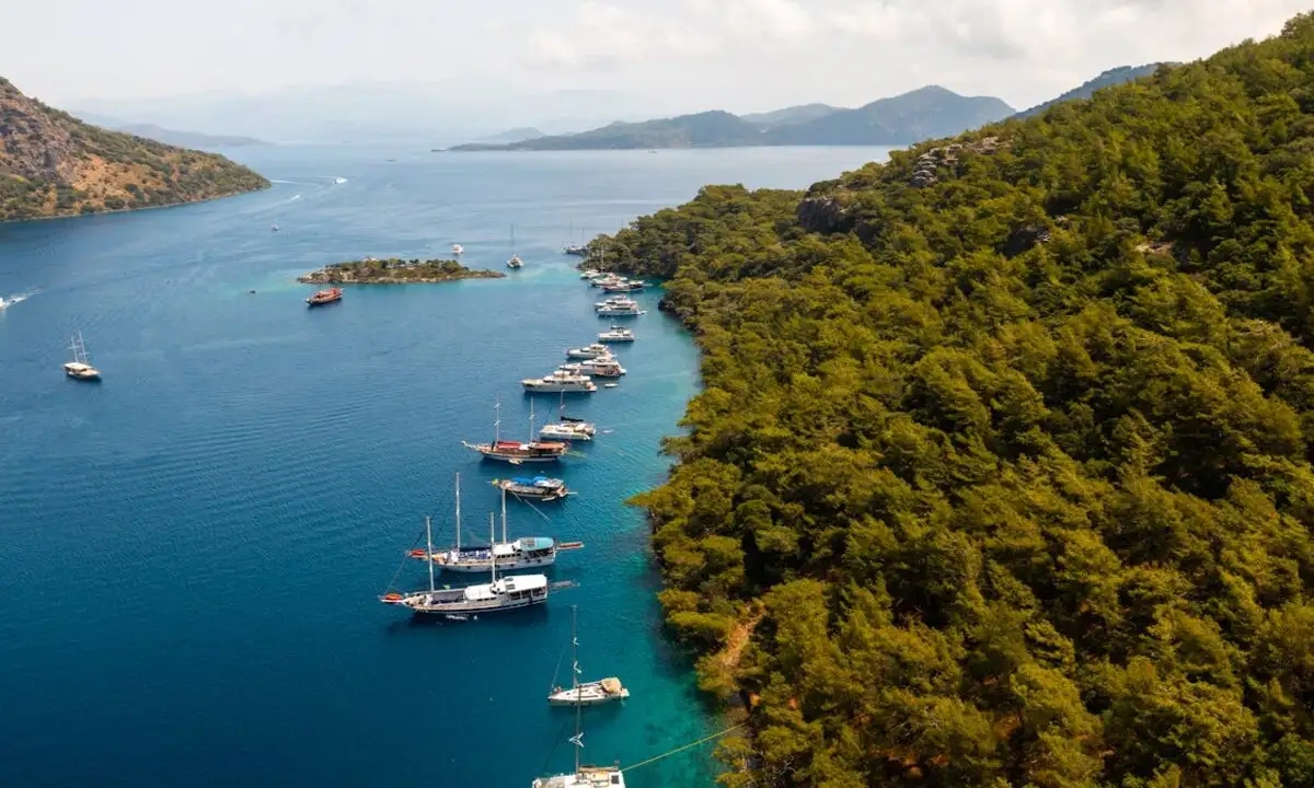 Why Are Houses So Expensive in Gocek?